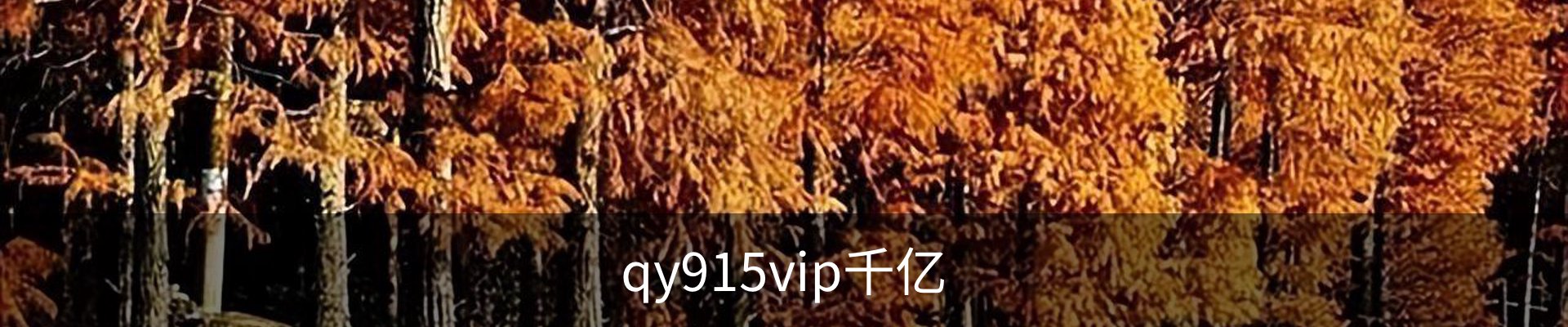 qy915vip千亿
